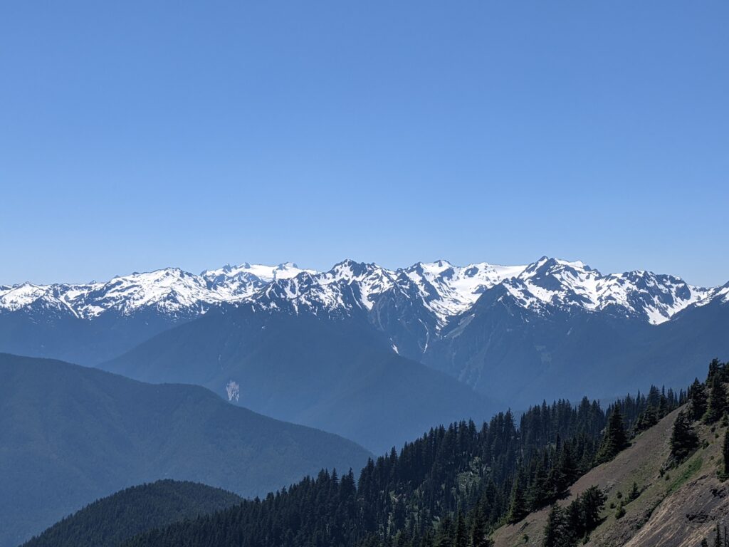 Snow-capped mountains rise above a deep forested valley
